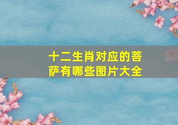 十二生肖对应的菩萨有哪些图片大全