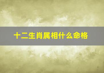 十二生肖属相什么命格