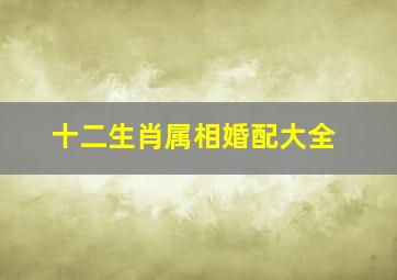 十二生肖属相婚配大全