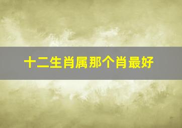 十二生肖属那个肖最好