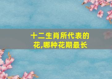 十二生肖所代表的花,哪种花期最长