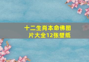 十二生肖本命佛图片大全12张壁纸