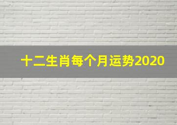 十二生肖每个月运势2020