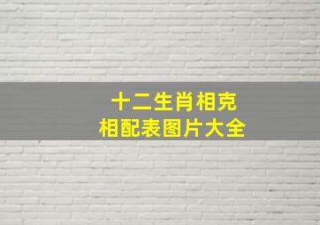 十二生肖相克相配表图片大全