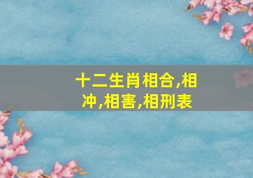 十二生肖相合,相冲,相害,相刑表