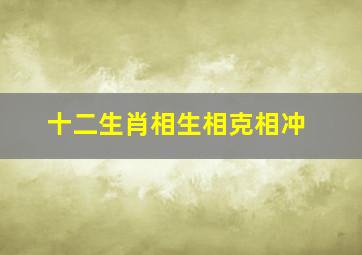 十二生肖相生相克相冲