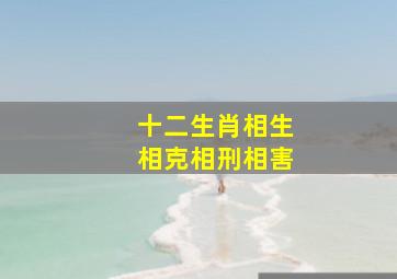 十二生肖相生相克相刑相害