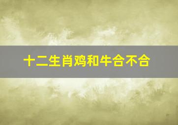 十二生肖鸡和牛合不合