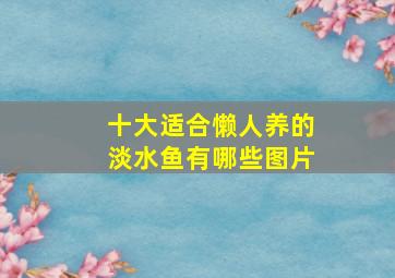 十大适合懒人养的淡水鱼有哪些图片