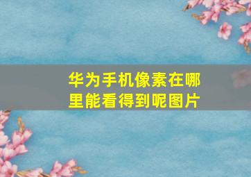 华为手机像素在哪里能看得到呢图片