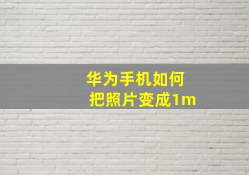 华为手机如何把照片变成1m