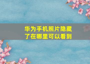 华为手机照片隐藏了在哪里可以看到