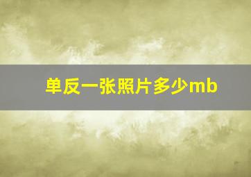 单反一张照片多少mb