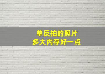 单反拍的照片多大内存好一点