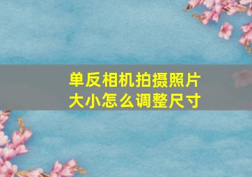 单反相机拍摄照片大小怎么调整尺寸