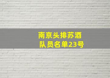 南京头排苏酒队员名单23号