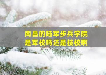 南昌的陆军步兵学院是军校吗还是技校啊