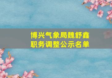 博兴气象局魏舒鑫职务调整公示名单