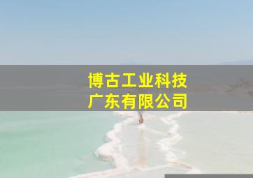 博古工业科技广东有限公司