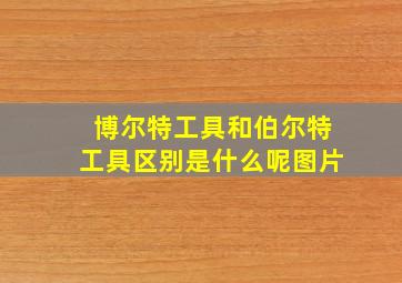 博尔特工具和伯尔特工具区别是什么呢图片