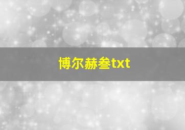 博尔赫叁txt