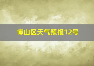 博山区天气预报12号