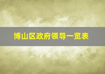 博山区政府领导一览表