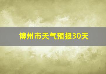 博州市天气预报30天