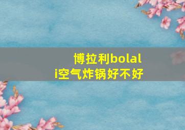 博拉利bolali空气炸锅好不好