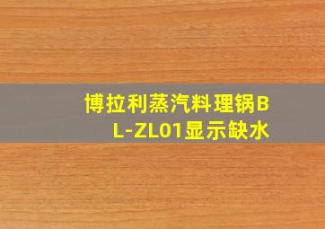 博拉利蒸汽料理锅BL-ZL01显示缺水