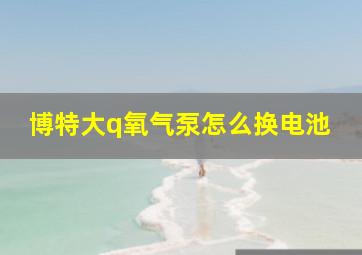 博特大q氧气泵怎么换电池