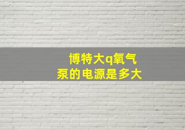 博特大q氧气泵的电源是多大