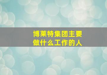 博莱特集团主要做什么工作的人