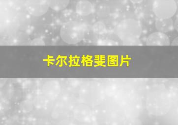 卡尔拉格斐图片