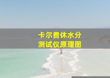 卡尔费休水分测试仪原理图