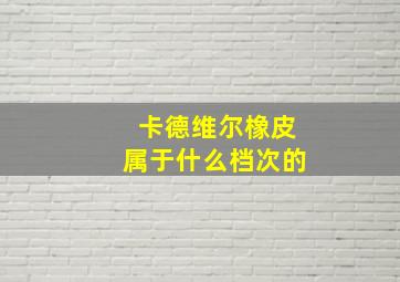 卡德维尔橡皮属于什么档次的