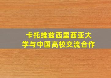 卡托维兹西里西亚大学与中国高校交流合作