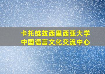 卡托维兹西里西亚大学中国语言文化交流中心