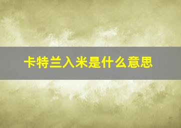 卡特兰入米是什么意思