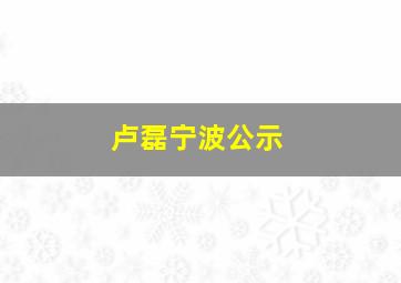 卢磊宁波公示