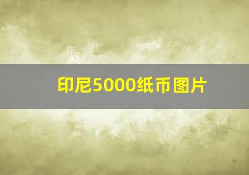 印尼5000纸币图片