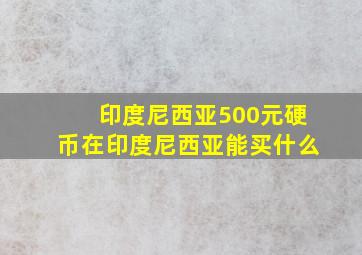 印度尼西亚500元硬币在印度尼西亚能买什么