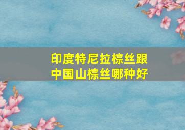 印度特尼拉棕丝跟中国山棕丝哪种好