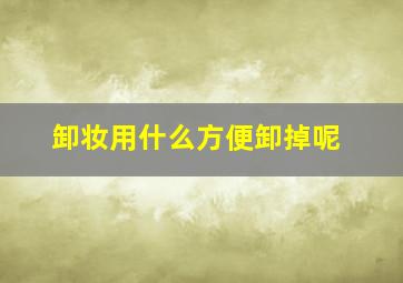 卸妆用什么方便卸掉呢