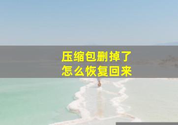 压缩包删掉了怎么恢复回来