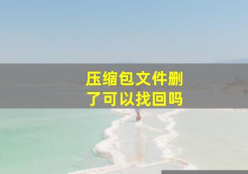 压缩包文件删了可以找回吗