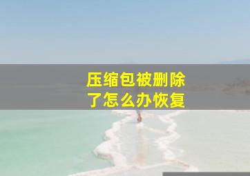 压缩包被删除了怎么办恢复