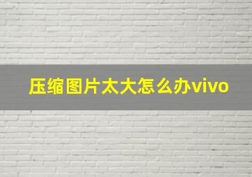 压缩图片太大怎么办vivo