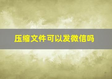 压缩文件可以发微信吗