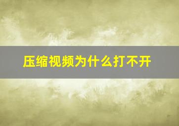 压缩视频为什么打不开